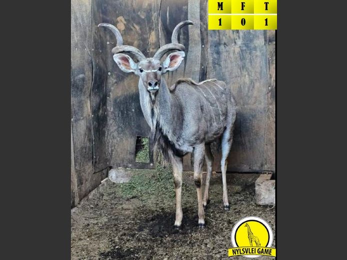 KUDU | C. RICHARDS