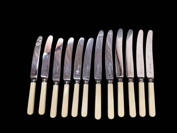 Collection of 12-Piece Vintage Sheffield Bakelite Knives