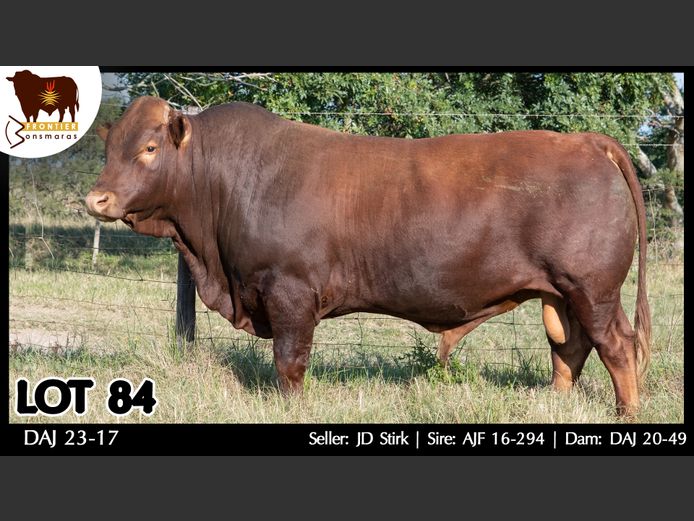 DAJ 230017 | J.D. STIRK
