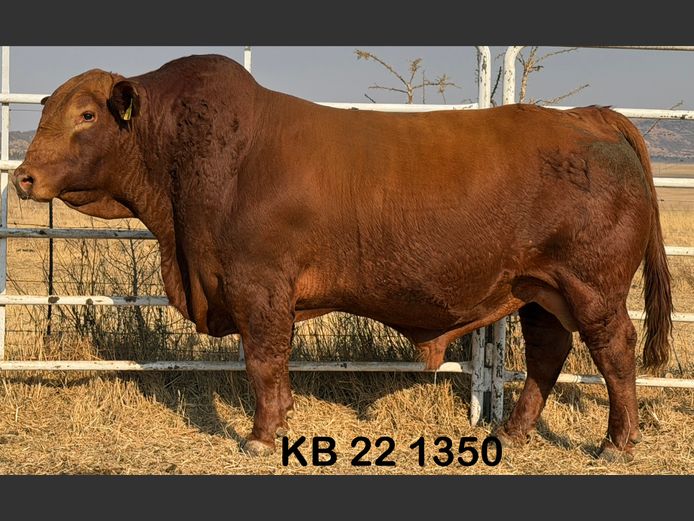 KB221350