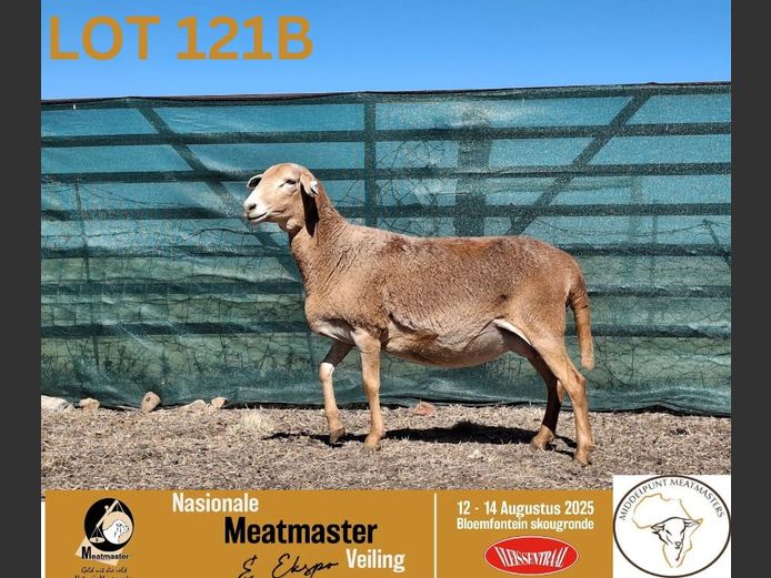 HO 23 107 | HP Oosthuizen - Middelpunt Meatmasters