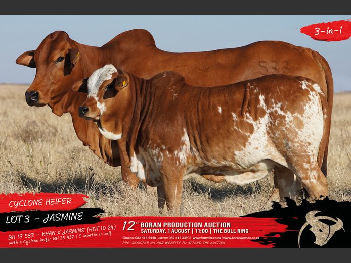 BH 180533 | HURWITZ FARMING