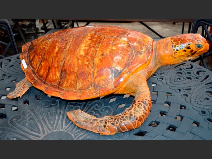 ORNAMENTAL TURTLE, 70 x 55 x 18cm [1 Fin damaged]