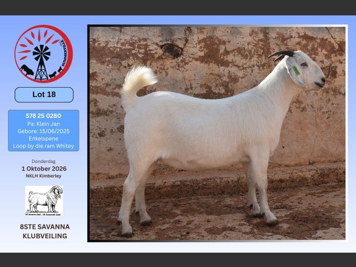 78 25 0280 | Hanno Jordaan - Summerville Savannas