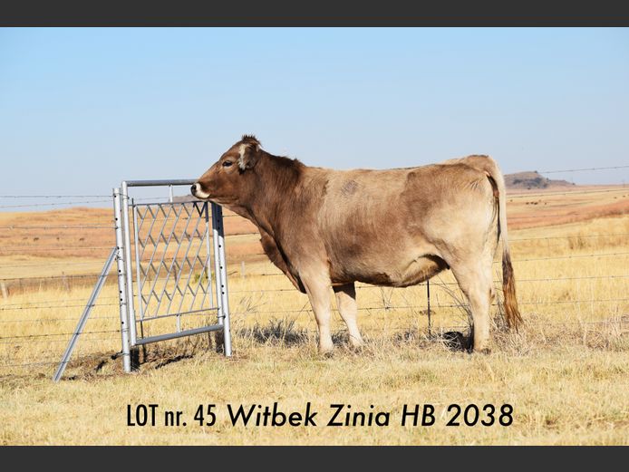 HB 200038 | JJ BESTER EN DOGTERS