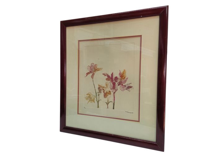 Framed Limited Edition Botanical Print by D. Moleso (8/20, 1983)