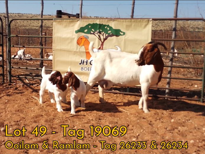 2003190069 | J.H. GOUWS