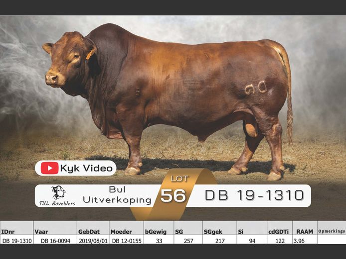 DB 19-1310