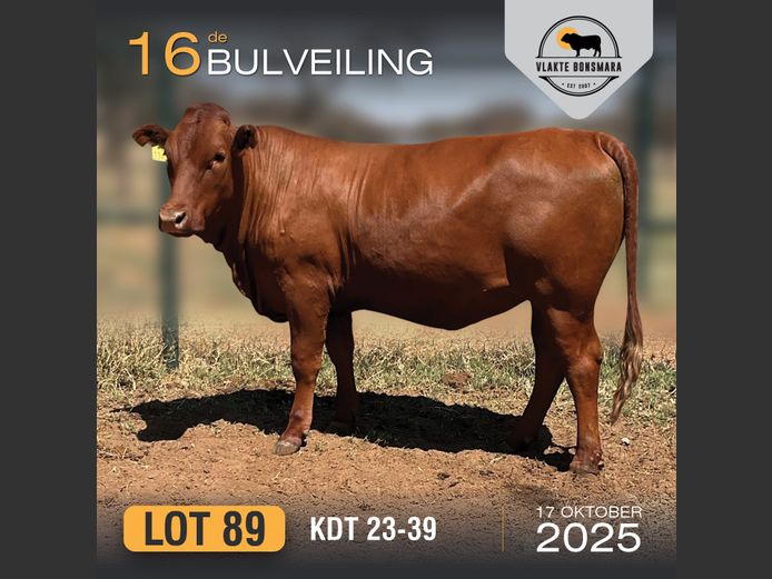 KDT 230039 | J.P.F. DU TOIT