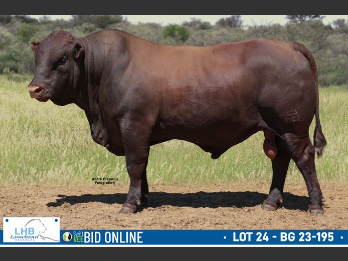 BG 230195 | LEEUHEUWEL BOERDERY (EDMS) BPK