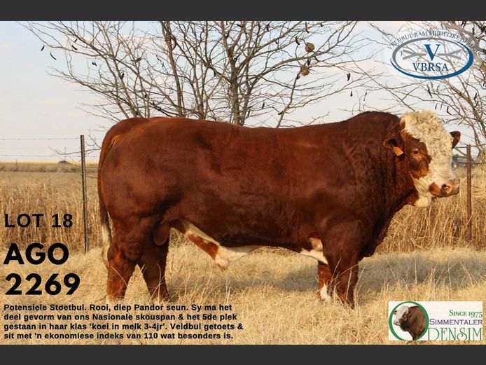 AGO2269 | AG ODENDAAL