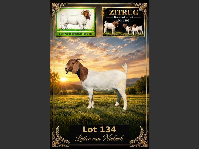 L 134.5 | Lotter van Niekerk