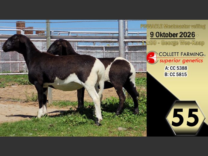 CC250388 | COLLETT FARMING CC