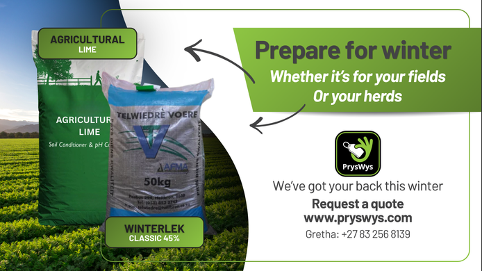 Products and Services