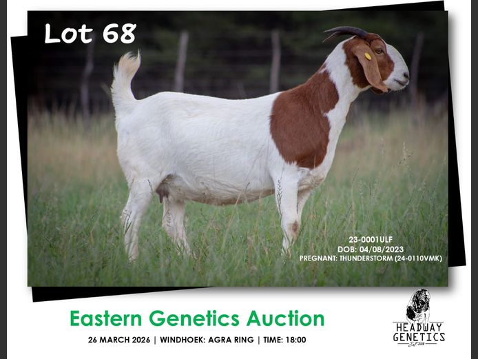 23-0001ULF | HEADWAY GENETICS