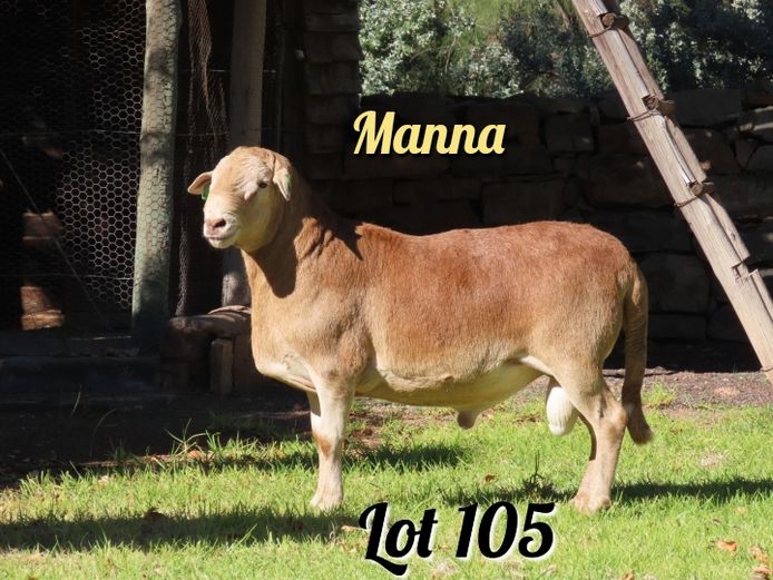 3.490 | Manna