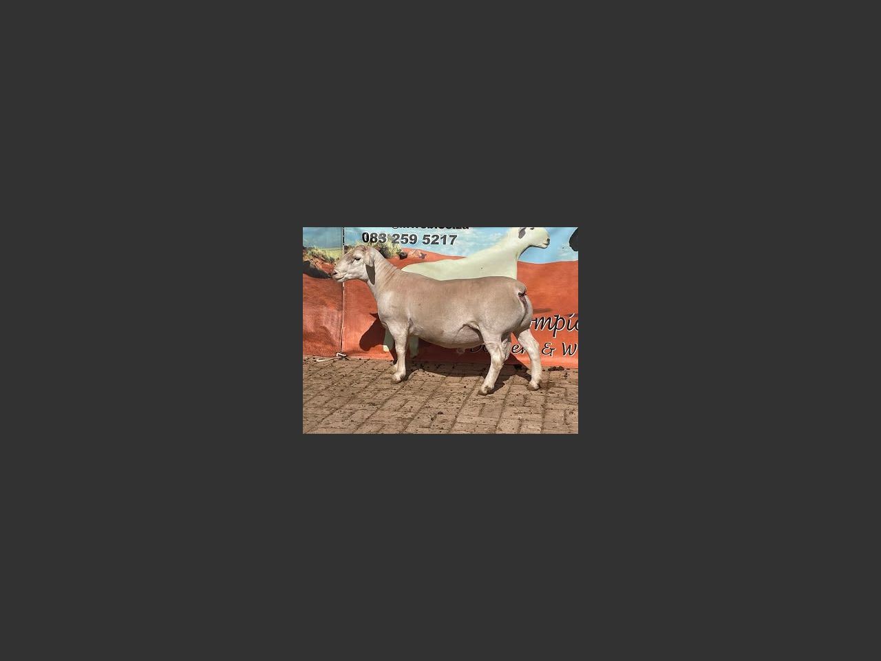 images