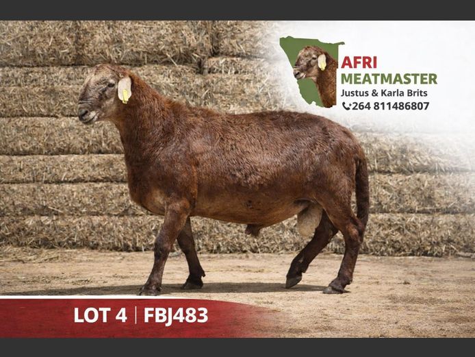 FBJ483 | AFRIMEATMASTER