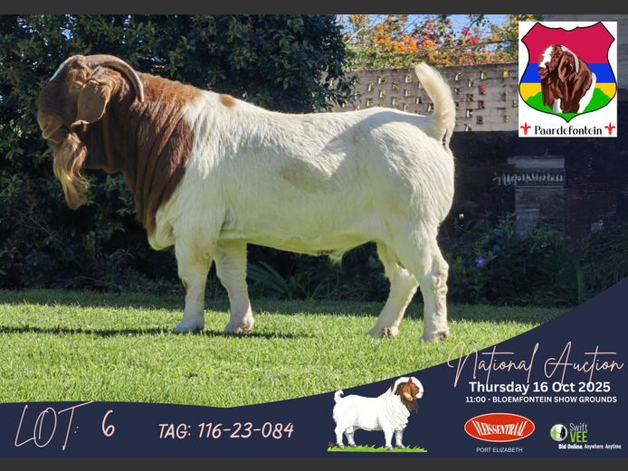 116 230084 | SW Malan (Paardefontein)