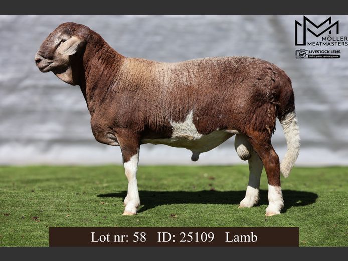25109 | Moller Meatmasters