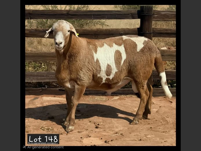 25-46 | PG VAN DEVENTER