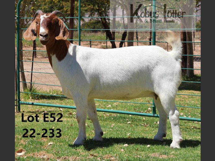 22233 | DuPreezkraal