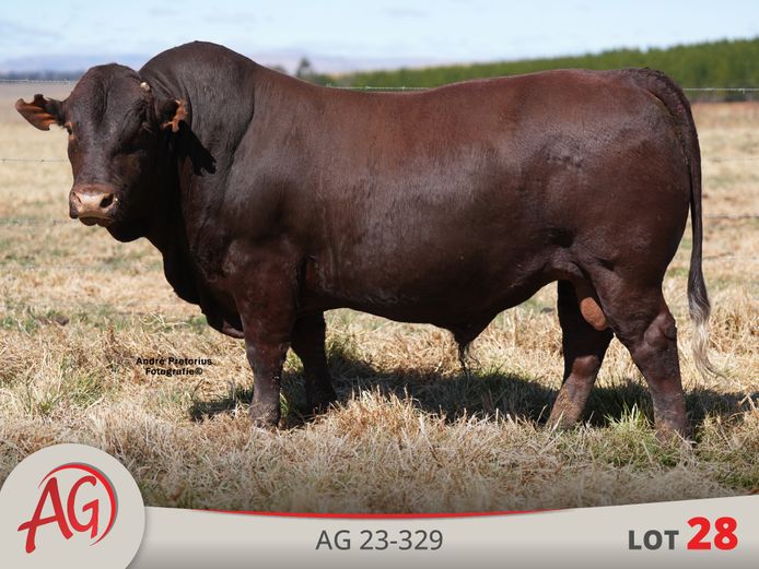 AG230329 | ARTHUR DE VILLIERS & SEUN