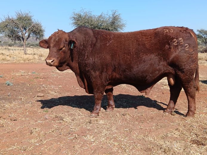 RJ  230112 | VR VOERKRAAL & BOERDERY BK