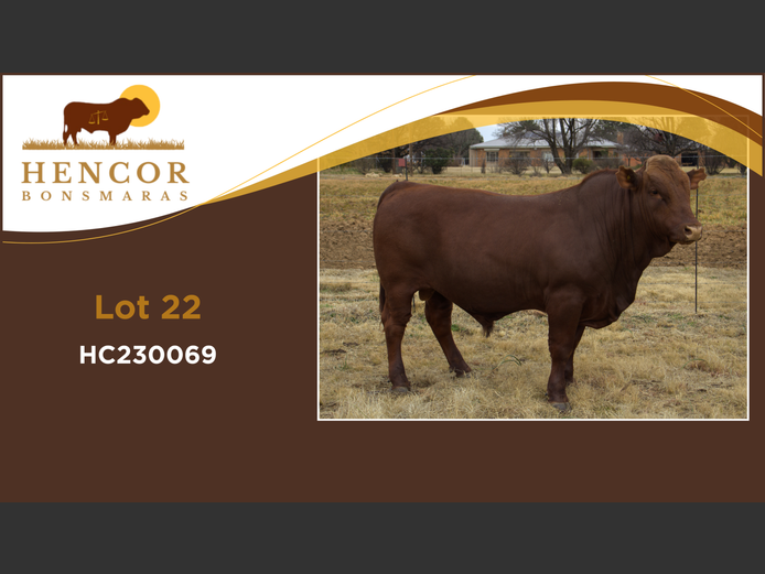 HC  230069 | HENCOR BOERDERY