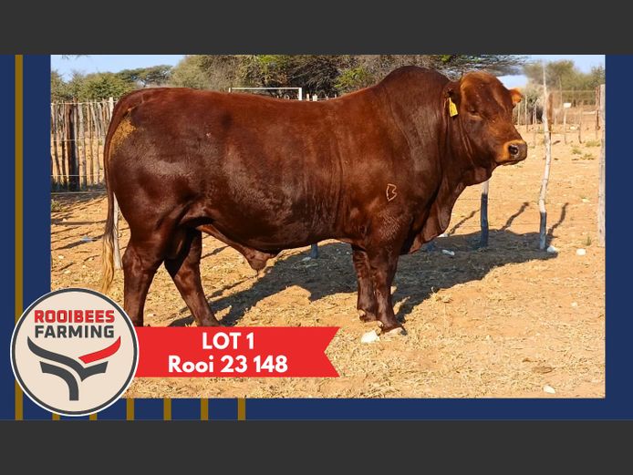 ROOI230148HH(c) | ROOIBEES FARMING PTY LTD