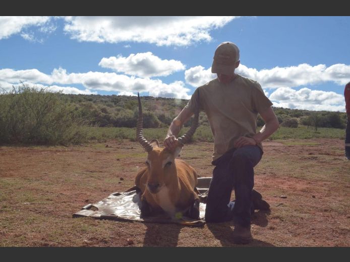 Lechwe 