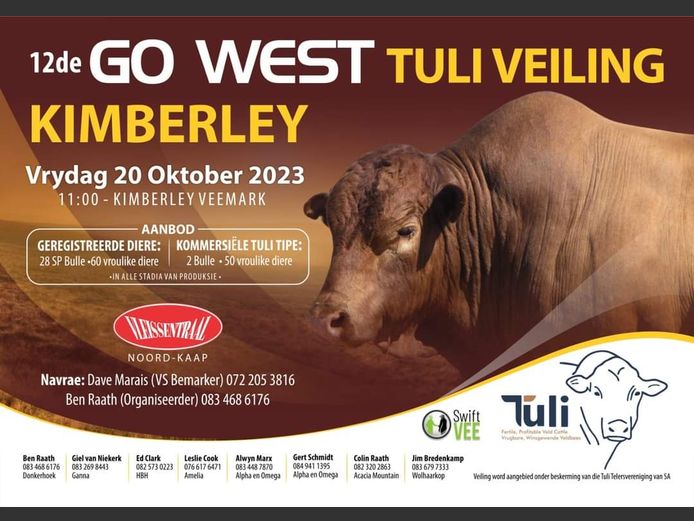 12DE GO WEST TULI VEILING