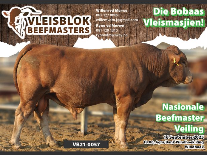 21-0057VB | VLEISBLOK BEEFMASTER