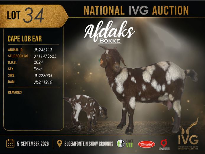 JB24 3113 | AFDAKS BOKKE