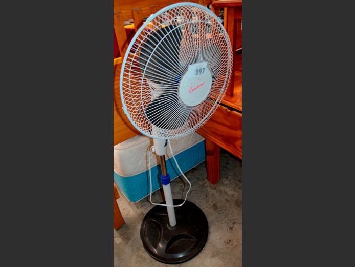 CONDERE PEDESTAL FAN [Switches on]