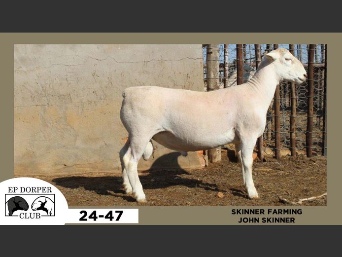 24-47  |  JOHN SKINNER - SKINNER FARMING