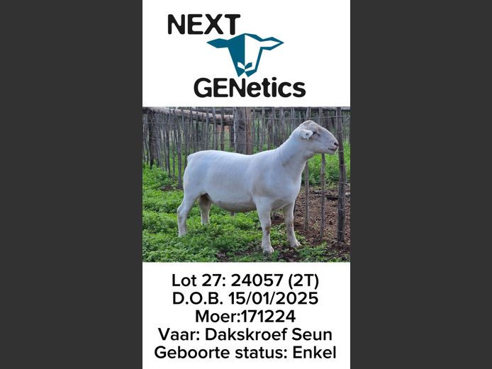 24057 | NEXT GENETICS