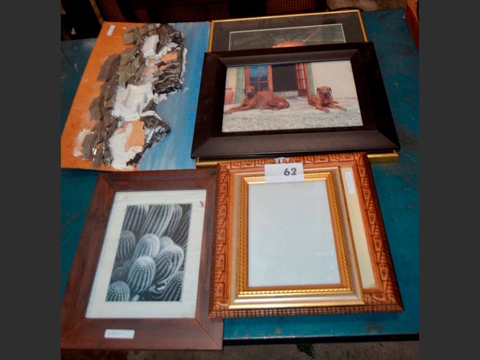 BOX FRAMED LUNA MOTH SPECIMEN, FRAMED CACTUS PRINT, PHOTO FRAME, etc