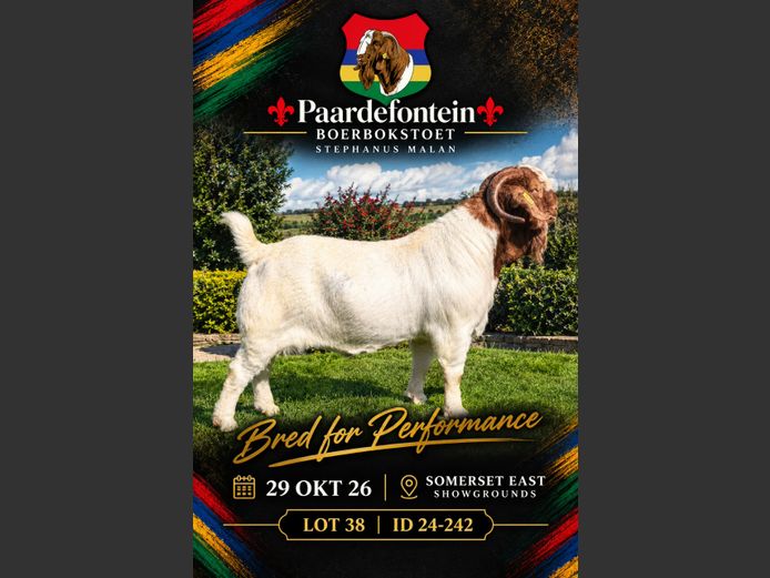 24-242 | Paardefontein BBS