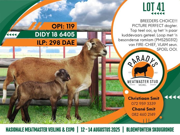 DIDY186405 | PARADYS MEATMASTER STOET