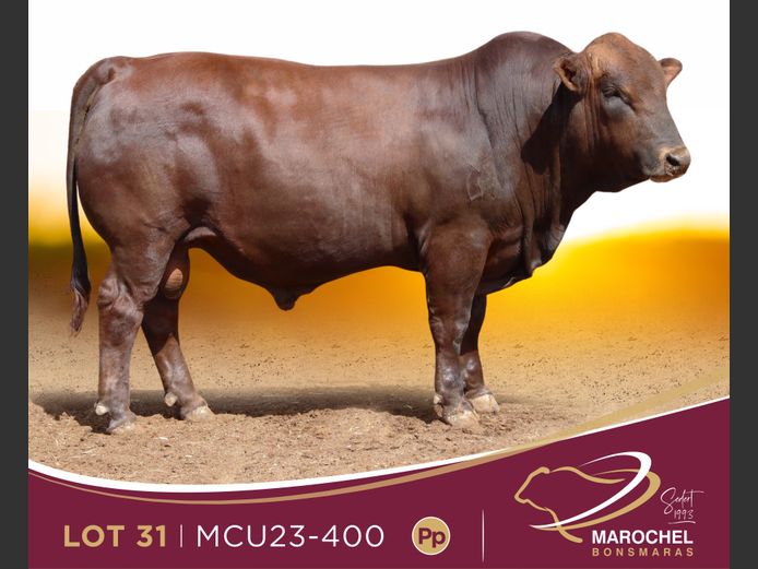 MCU 230400