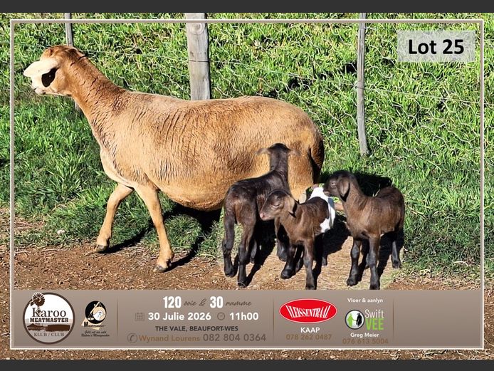L 048 | Tiaan Lourens - Meiringspoort Meatmasters