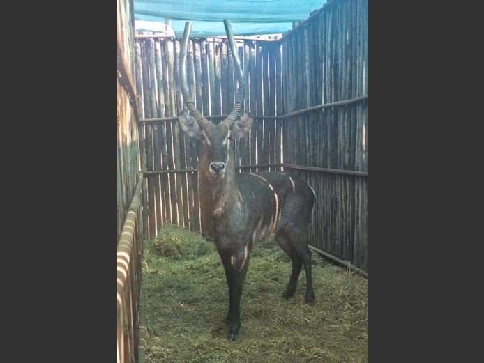 WATERBOK | HANLEY 1