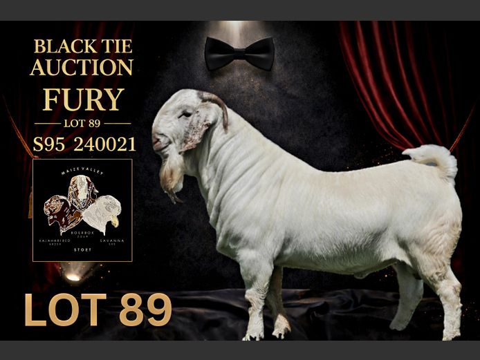 95240021 | Maize Valley Savanna stoet