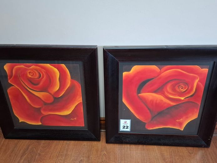 2 x Framed paintings - Thys