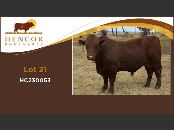 HC  230053 | HENCOR BOERDERY