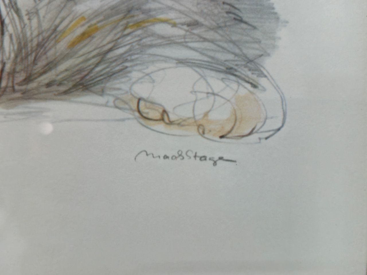 images