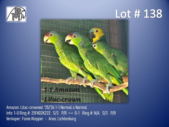 1-1 '25/'24 Amazon: Lilac-crowned: Normal x Normal - Fanie Klopper