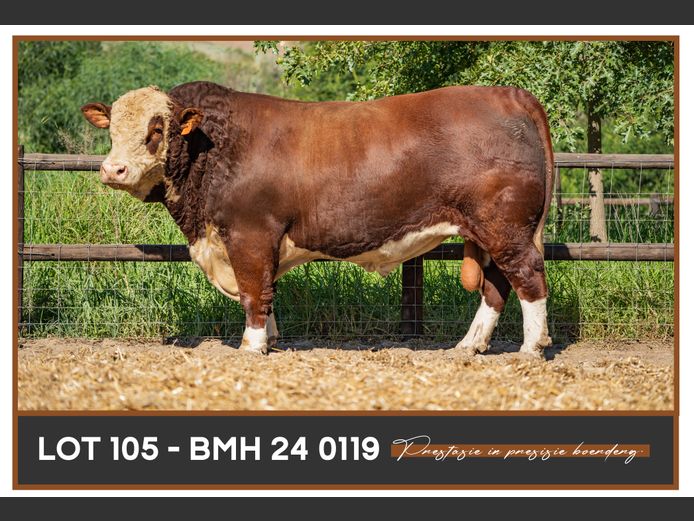 BMH 220119