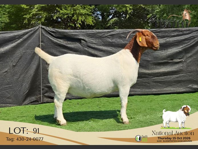 430-24-0077 | Booysen Boerdery